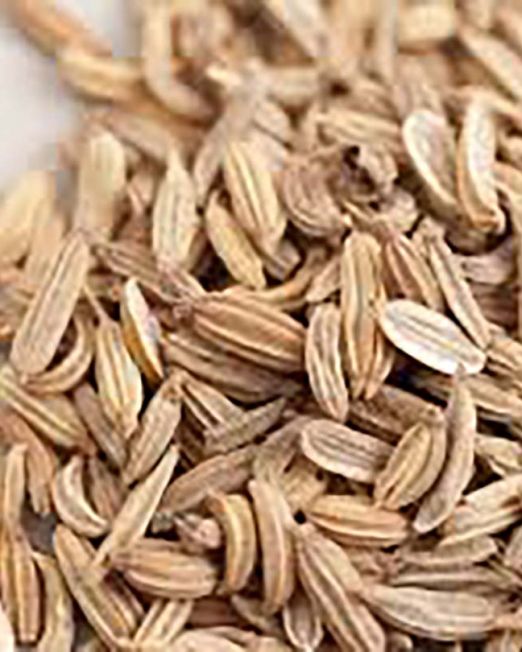 Caraway Seed1