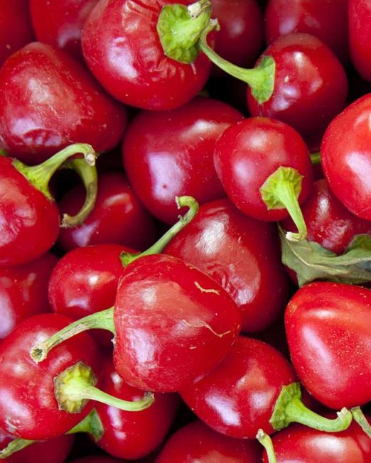 ITALY - SEPTEMBER 25:  Pimento peppers, Ceraselli di Calabria, on sale at weekly street market in Panzano-in-Chianti, Tuscany, Italy  (Photo by Tim Graham/Getty Images)